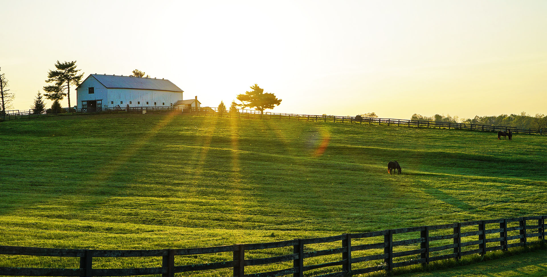 A rural property with a barn